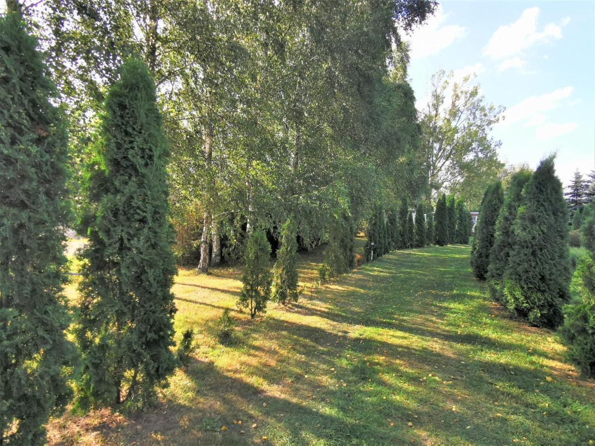 Brzozowe Zacisze Villa Lagow  Exterior photo